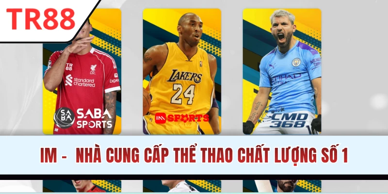 Nhà cung cấp thể thao TR88 đáng tin cậy để trải nghiệm